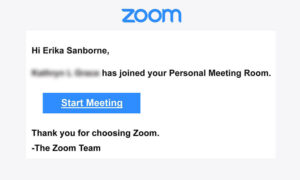 how to stop the zoom emails